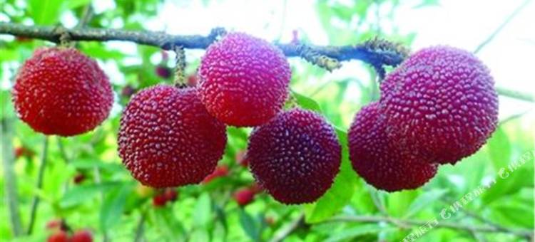 苏州太湖旅游度假酒店别墅图片