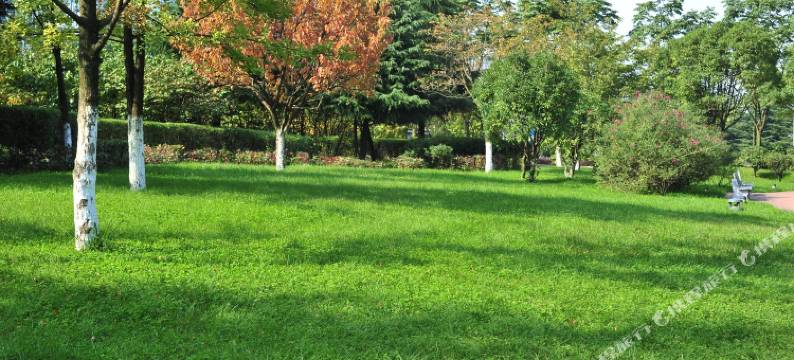 贵阳金阳大酒店(观山湖公园金融城店)图片