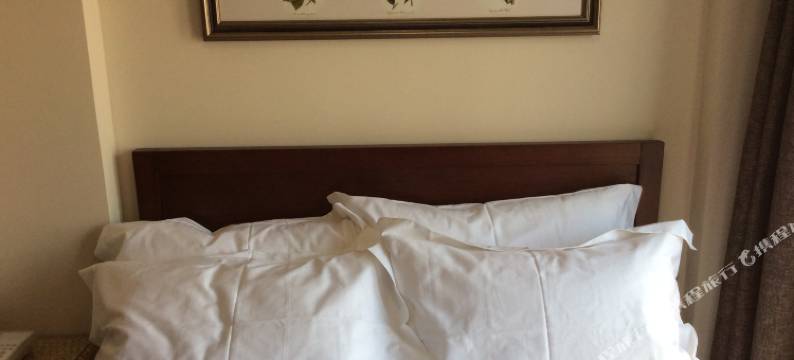 盈佳温泉酒店公寓(南京汤城汇店)图片