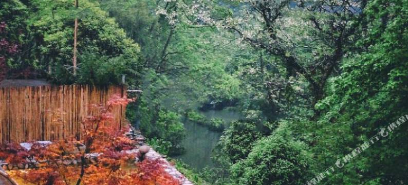 雁荡山借山居民宿图片