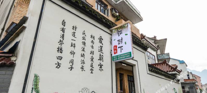 桐庐银杏树下客栈图片