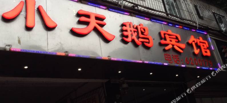 荣县小天鹅宾馆图片