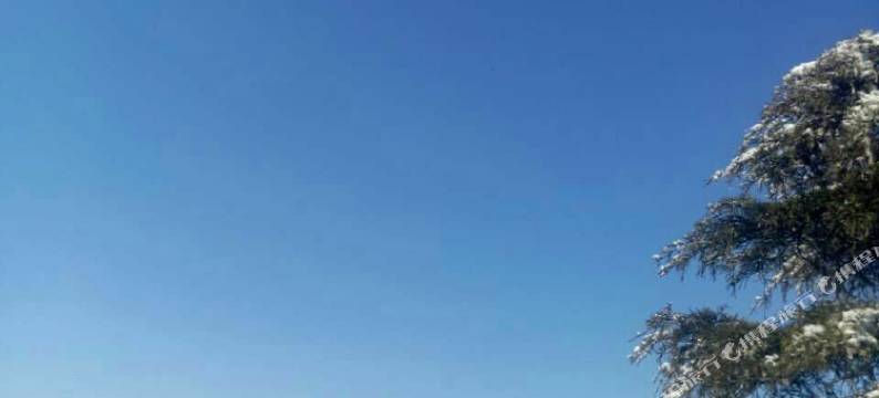 安吉一品居农家图片