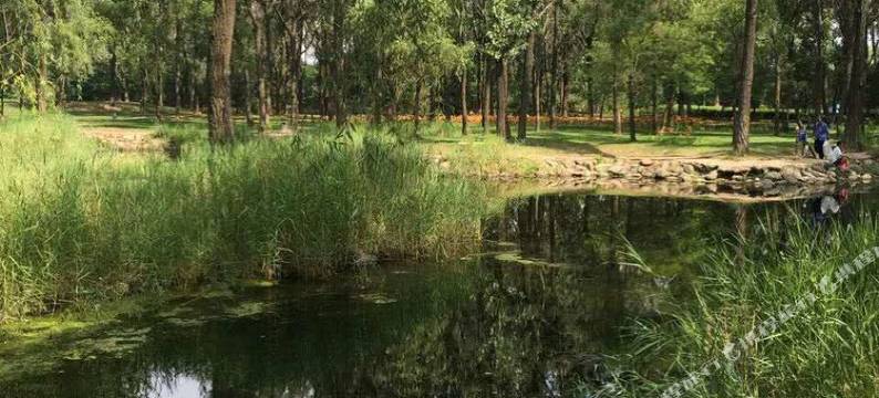 秦皇岛北戴河海景家庭度假公寓图片