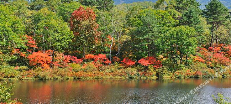 日本志贺酒店(Hotel Japan Shiga)图片