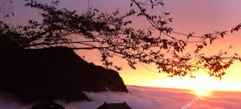 阿里山龙头当归民宿图片