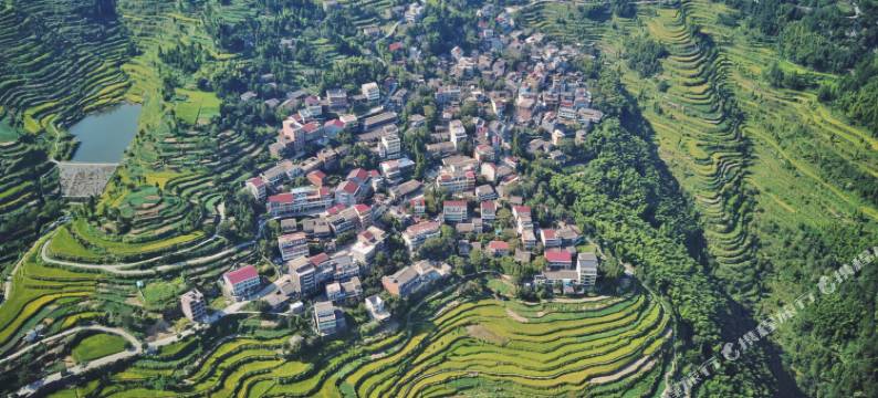 永嘉茗岙山里田边客栈图片