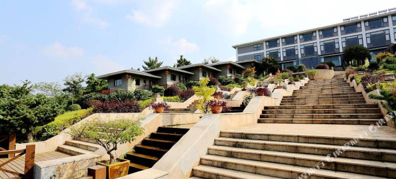 南京茉莉花园度假村图片