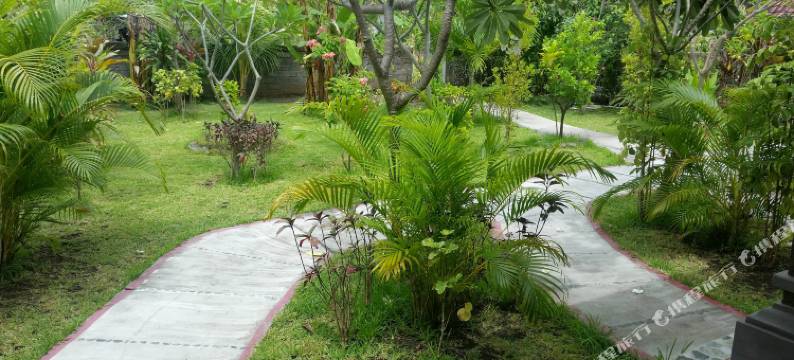 格德佩母德兰民宿(Villa Dika Pemuteran)图片