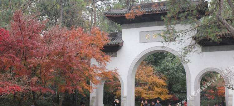杭州灵隐漫步绿谷山间客栈图片