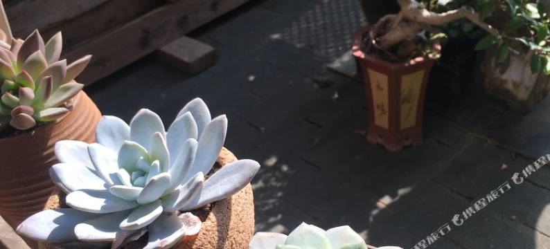 厦门岸恋海景度假别墅图片