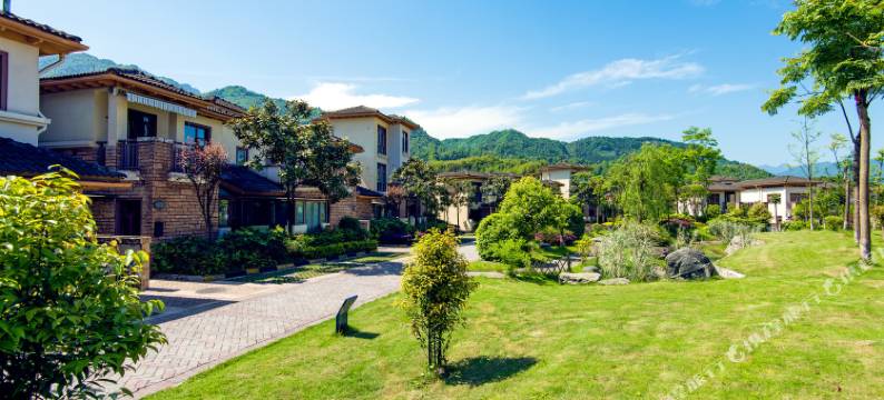 大邑王山雨雪霏扉别墅图片