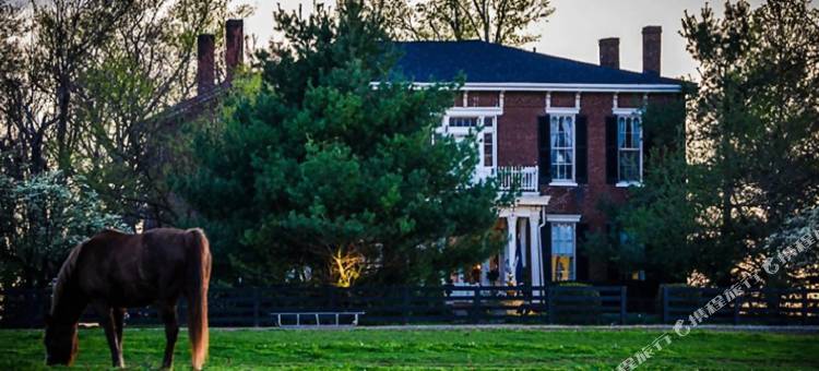 1851 历史枫山庄园民宿(1851 Historic Maple Hill Manor B&B)图片