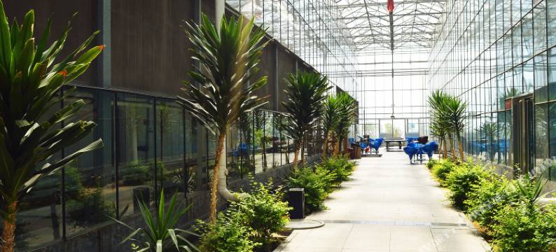 灵石王家庄园风情别墅园图片