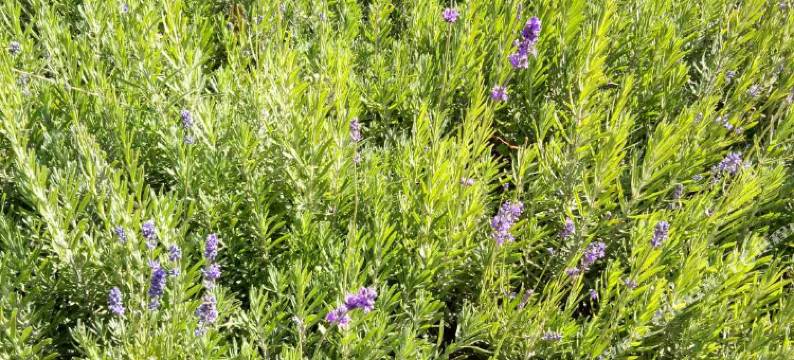 固原玉霞宾馆图片