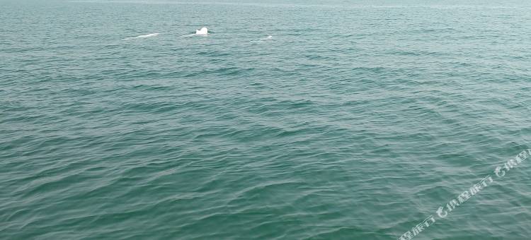 钦州火车驿站图片