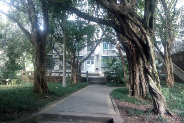 重庆永川丽源公寓骑龙街分店