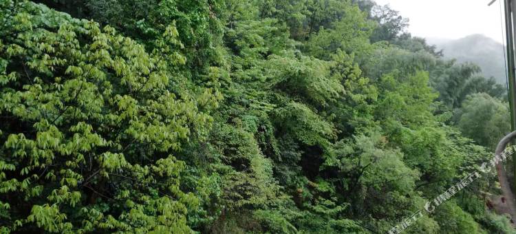 安吉红豆杉酒家(藏龙百瀑漂流店)图片