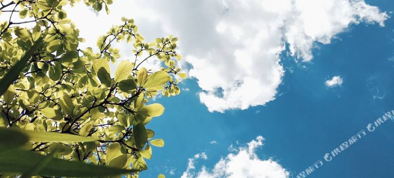 青岛向日葵青年旅舍图片