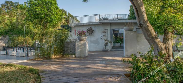 深圳一棵花树正好开民宿图片