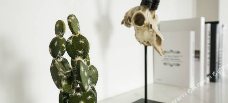 CCChen的家民宿(上海河南路桥店)图片