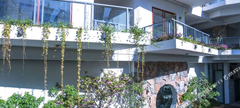 丽江美院美宿艺术民宿图片