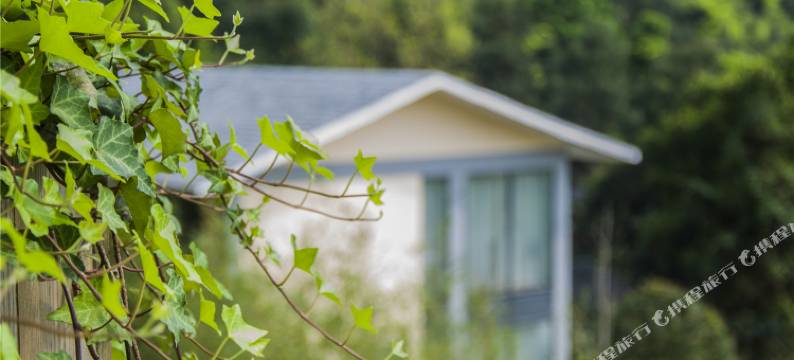 贺州温泉鸟巢酒店图片