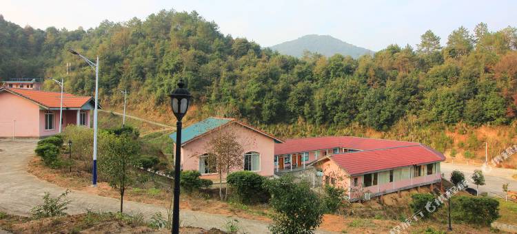 南雄青青旅游生态农庄图片