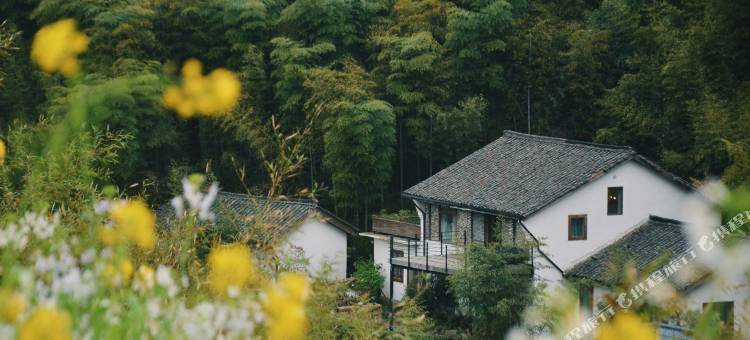 西坡莫干山度假民宿图片