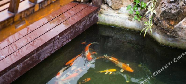 象山沐客愉院玫瑰海边四合院图片