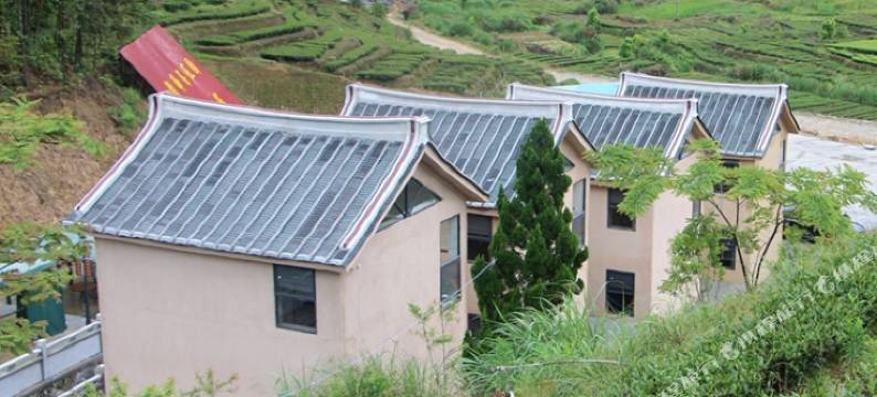 安溪德峰茶庄园图片