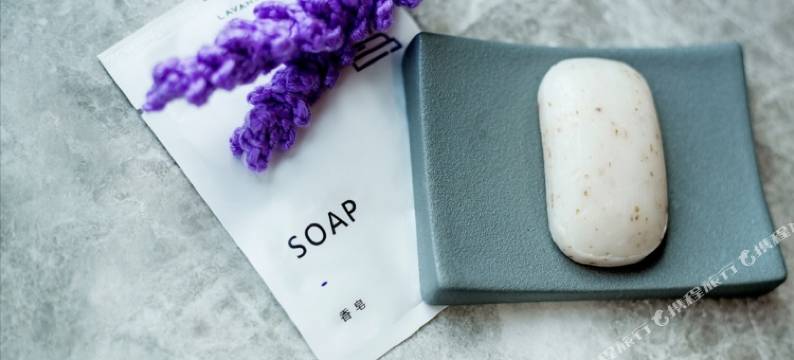 麗枫酒店(惠州龙门店)图片