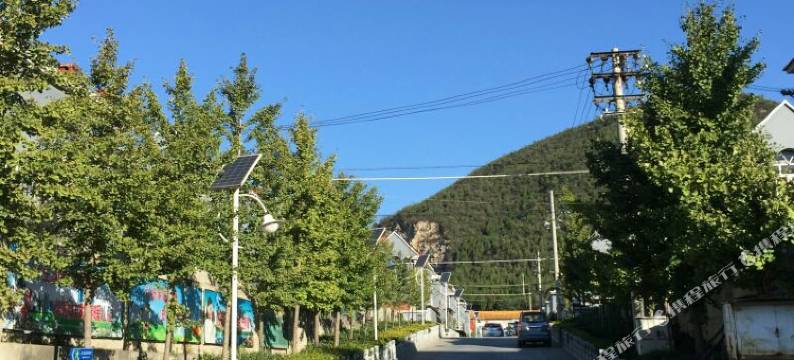 北京雪梅菊花客栈图片