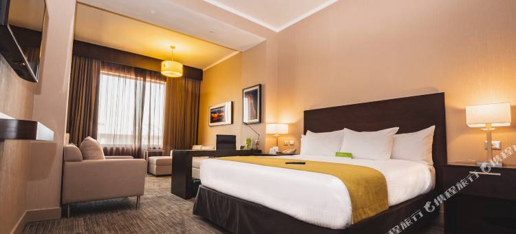 圣地亚哥机场温德姆酒店(WYNDHAM SANTIAGO AIRPORT)图片