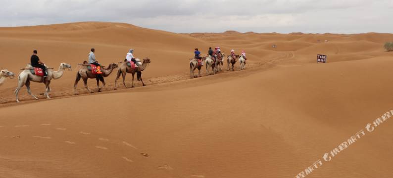中卫大漠槐花吟青年旅舍图片