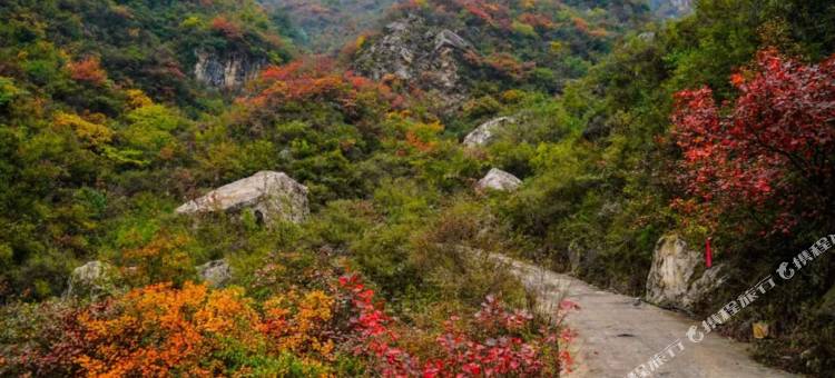 Q加·辉县依山客栈图片