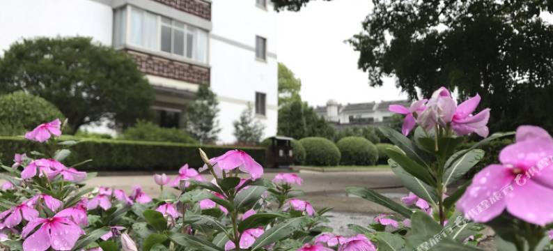 周庄水之韵酒店图片