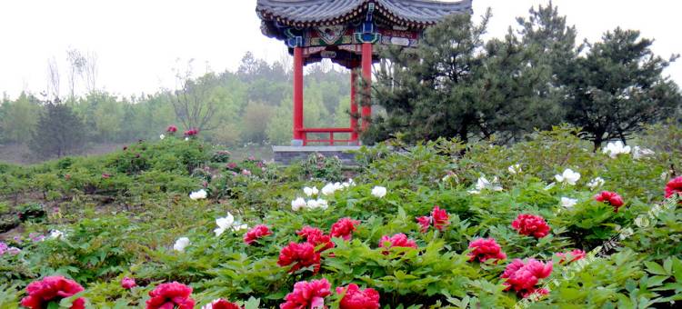 临汾可道酒店图片