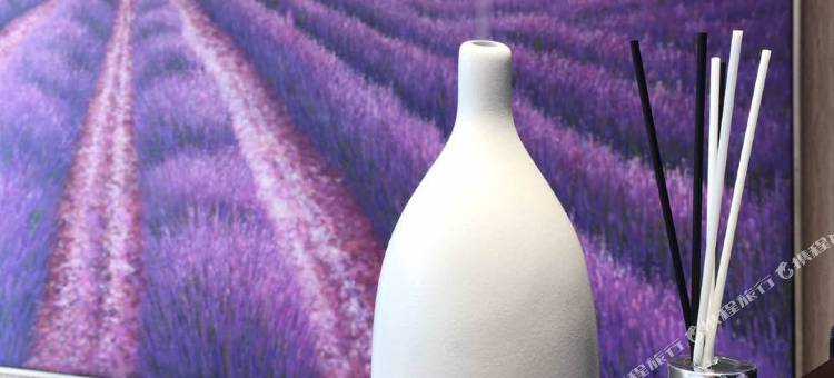 麗枫酒店(南京卡子门地铁站永乐路店)图片