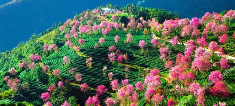 大理久栖海景客栈图片