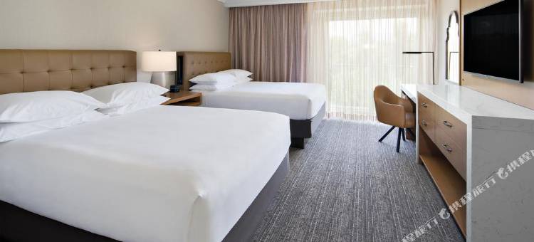 瓦伦西亚六旗希尔顿花园酒店(Hilton Garden Inn Valencia at Six Flags)图片