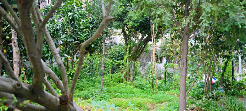 霞浦紫幽青年旅舍图片