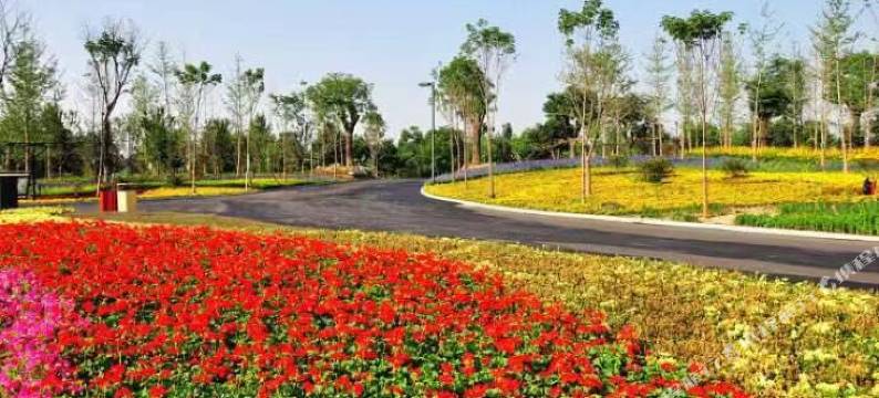 西安唯一生态主题酒店图片