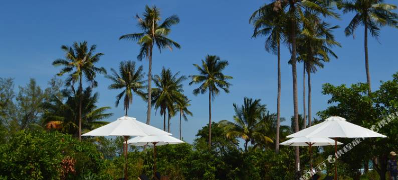 塔木高龙酒店(Tamu Koh Rong)图片