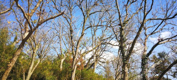 查济香巴拉七月随山居民宿图片