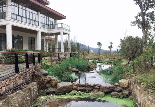 Nanshan Chayuan Hotel Hotel Overview