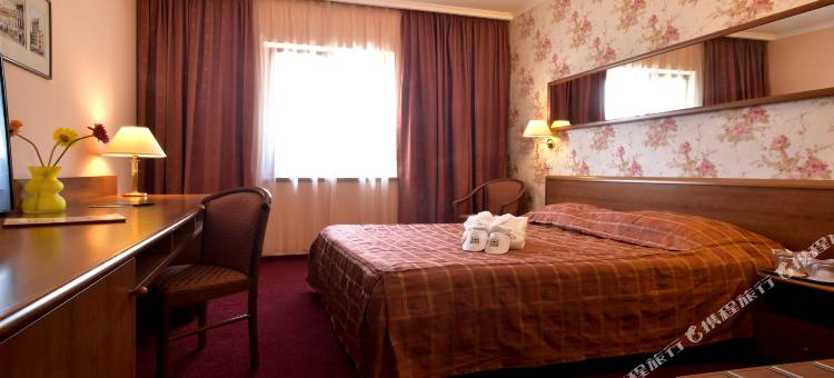 布拉索夫酒店(Hotel Brasov)图片