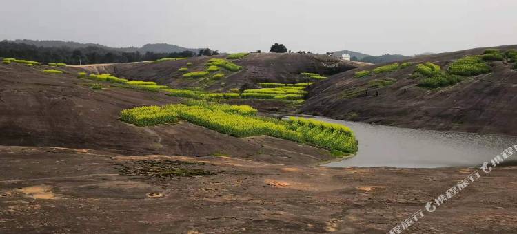 7天优品酒店(安仁大道店)图片