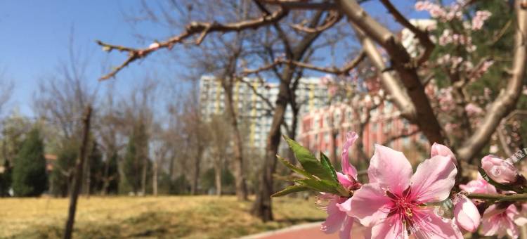 北京万年青宾馆图片