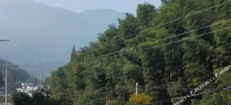 安吉旭竹山庄图片